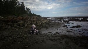 Rating: Safe Score: 0 Tags: 1girl cloud cloudy_sky dress image long_hair ocean outdoors scenery sitting sky solo suigintou very_long_hair water User: admin