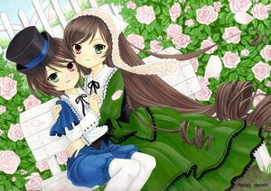 Rating: Safe Score: 0 Tags: 2girls bouquet brown_hair dress flower green_dress green_eyes hat heterochromia image long_hair long_sleeves multiple_girls pair pantyhose pink_flower pink_rose purple_rose red_eyes red_rose rose short_hair siblings sisters souseiseki suiseiseki thorns top_hat twins very_long_hair white_flower white_rose yellow_flower yellow_rose User: admin