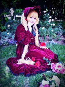 Rating: Safe Score: 0 Tags: 1girl blonde_hair blue_eyes cat dress flower long_hair pink_flower pink_rose purple_flower purple_rose red_dress red_flower red_rose rose shinku sitting solo traditional_media User: admin