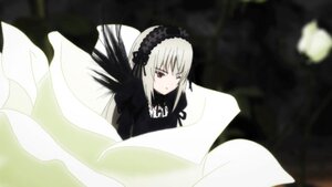 Rating: Safe Score: 0 Tags: 1girl black_dress black_ribbon black_wings dress flower hairband image long_hair long_sleeves looking_at_viewer red_eyes ribbon rose silver_hair solo suigintou wings User: admin