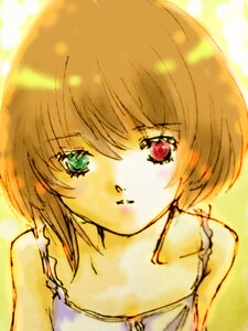 Rating: Safe Score: 0 Tags: 1girl bangs bare_shoulders blush collarbone eyebrows_visible_through_hair green_eyes image looking_at_viewer red_eyes short_hair solo souseiseki upper_body User: admin