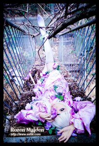 Rating: Safe Score: 0 Tags: 1girl barasuishou black_border border dress fence flower letterboxed lying purple_eyes solo stained_glass User: admin