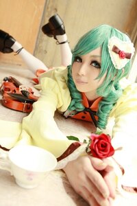 Rating: Safe Score: 0 Tags: 1girl aqua_hair blurry blurry_foreground depth_of_field drill_hair flower food hatsune_miku kanaria photo red_flower red_rose rose solo User: admin