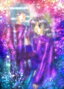 Rating: Safe Score: 0 Tags: 2girls barasuishou black_hair flower hair_ornament image long_hair multiple_girls pair standing suigintou wisteria User: admin