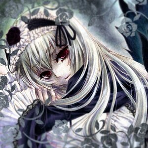 Rating: Safe Score: 0 Tags: 1girl auto_tagged black_flower black_rose blurry blurry_background blurry_foreground depth_of_field dress flower frills hairband image lolita_hairband long_hair long_sleeves looking_at_viewer motion_blur red_eyes ribbon rose solo suigintou white_flower white_hair white_rose User: admin