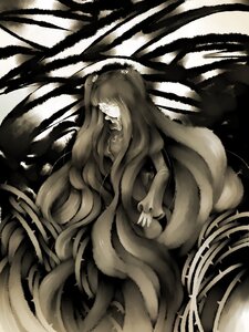 Rating: Safe Score: 0 Tags: 1girl absurdly_long_hair dress image kirakishou long_hair monochrome solo very_long_hair white_skin User: admin