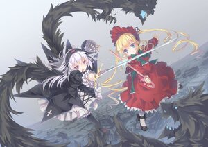 Rating: Safe Score: 0 Tags: 2girls black_wings blonde_hair blue_eyes bonnet dress duel flower frills hairband image long_hair long_sleeves multiple_girls open_mouth pair red_dress rose shinku silver_hair suigintou sword weapon wings User: admin