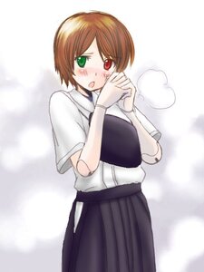 Rating: Safe Score: 0 Tags: 1girl blush brown_hair cowboy_shot green_eyes hakama heterochromia image looking_at_viewer open_mouth red_eyes skirt solo souseiseki standing suiseiseki User: admin
