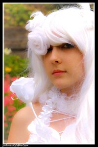 Rating: Safe Score: 0 Tags: 1girl artist_name bare_shoulders black_border blurry border dress eyelashes flower kirakishou letterboxed lips realistic solo white_dress white_hair User: admin