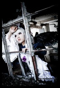 Rating: Safe Score: 0 Tags: 1girl dress flower gothic_lolita lolita_fashion long_hair rose solo suigintou white_hair wings User: admin