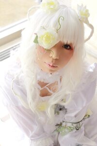Rating: Safe Score: 0 Tags: 1girl animal_ears bangs blue_eyes blurry closed_mouth depth_of_field flower hair_flower hair_ornament kirakishou lips long_hair looking_at_viewer solo white_flower white_hair white_rose User: admin