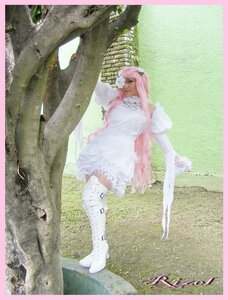 Rating: Safe Score: 0 Tags: 1girl bird boots breasts dress frills kirakishou long_hair photo pink_hair short_dress solo standing thighhighs very_long_hair white_dress white_footwear User: admin