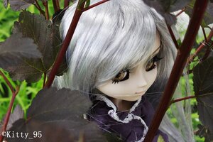 Rating: Safe Score: 0 Tags: 1girl bangs barasuishou black_dress closed_mouth doll lips looking_at_viewer outdoors solo tree umbrella watermark white_hair User: admin