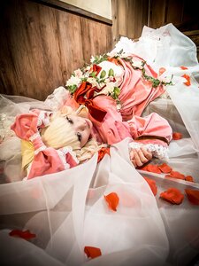 Rating: Safe Score: 0 Tags: 1girl blonde_hair blue_eyes bow curtains dress flower hair_bow hinaichigo looking_at_viewer petals pink_dress rose solo User: admin