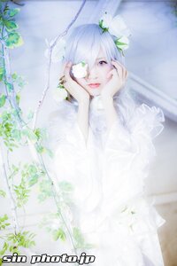 Rating: Safe Score: 0 Tags: 1girl bangs blurry closed_mouth depth_of_field flower hands_on_own_cheeks hands_on_own_face kirakishou leaf lips long_hair looking_at_viewer plant purple_eyes solo vines white_hair User: admin