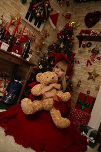 Rating: Safe Score: 0 Tags: 1girl blonde_hair butterfly christmas christmas_ornaments christmas_tree dress fireplace gift indoors red_dress shinku solo stuffed_animal teddy_bear User: admin