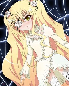 Rating: Safe Score: 0 Tags: 1girl blonde_hair blush doll_joints dress eyepatch flower frills hair_flower hair_ornament image kirakishou long_hair long_sleeves rose silk solo spider_web thorns twintails very_long_hair white_flower white_rose User: admin