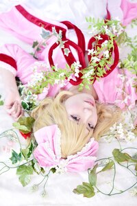 Rating: Safe Score: 0 Tags: 1girl blonde_hair blue_eyes blurry blurry_foreground bow depth_of_field dress eyelashes flower frills hinaichigo leaf lips lying on_back realistic ribbon solo User: admin