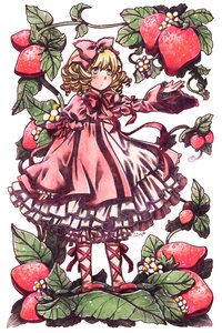 Rating: Safe Score: 0 Tags: 1girl apple blonde_hair bow cherry dress flower food frills fruit full_body grapes hair_bow hina_ichigo hinaichigo holding_fruit image leaf object_namesake pink_bow pink_dress plant shoes short_hair solo strawberry vines white_legwear User: admin