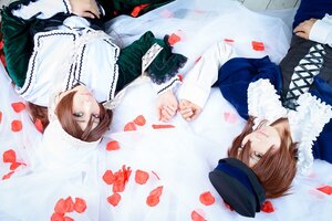Rating: Safe Score: 0 Tags: 2boys brown_hair crossdressing dress flower frills green_eyes hat multiple_boys multiple_cosplay petals red_rose rose rose_petals siblings souseiseki suiseiseki tagme top_hat twins User: admin