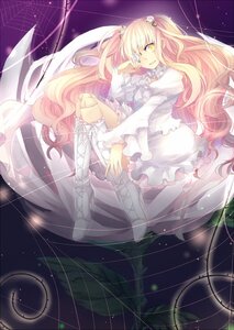 Rating: Safe Score: 0 Tags: 1girl blonde_hair boots commentary_request cross-laced_footwear doll_joints dress eyepatch flower frills grin hair_flower hair_ornament high_heels image joints kirakishou knee_boots long_hair long_sleeves mary_(14476764) personification pink_hair puffy_sleeves rose rozen_maiden shoes silk sitting smile solo spider_web thorns two_side_up very_long_hair white_dress white_footwear yellow_eyes User: admin