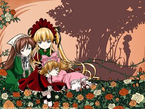 Rating: Safe Score: 0 Tags: 3girls blonde_hair blue_eyes bonnet bow brown_hair dress drill_hair flower green_bow green_dress hat heterochromia hina_ichigo image long_hair long_sleeves looking_at_viewer multiple multiple_girls pink_bow pink_flower pink_rose red_dress red_eyes red_flower red_rose rose shinku souseiseki suigintou suiseiseki tagme thorns twintails vines white_rose yellow_flower yellow_rose User: admin