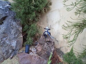 Rating: Safe Score: 0 Tags: 1girl doll grass nature plant scenery solo suigintou tree water User: admin