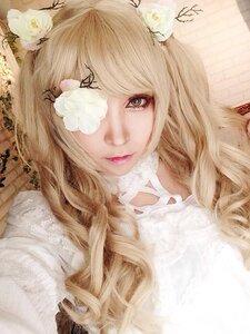 Rating: Safe Score: 0 Tags: 1girl bird blonde_hair bug dove flower insect kirakishou lips long_hair portrait solo white_flower User: admin