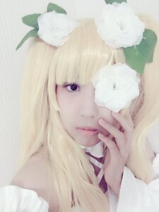 Rating: Safe Score: 0 Tags: 1girl bangs blonde_hair blood closed_mouth flower hair_over_one_eye kirakishou leaf lips long_hair one_eye_covered portrait purple_eyes solo white_flower User: admin