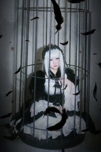 Rating: Safe Score: 0 Tags: 1girl bangs bird black_feathers crow dove dress feathers long_hair looking_at_viewer maid seagull solo suigintou weapon white_feathers User: admin