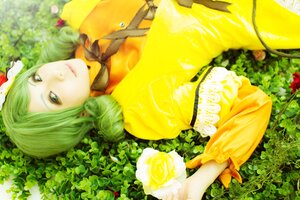 Rating: Safe Score: 0 Tags: 1girl drill_hair flower green_hair kanaria lips long_hair lying rose solo yellow_dress yellow_flower yellow_rose User: admin