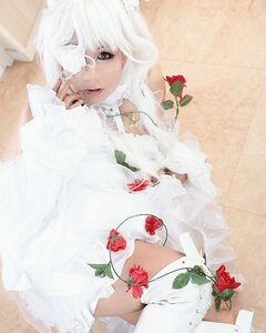 Rating: Safe Score: 0 Tags: 1girl animal_ears bangs flower kirakishou leaf lips red_flower solo white_hair User: admin