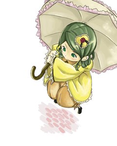 Rating: Safe Score: 0 Tags: 1girl auto_tagged blush flower frills green_eyes green_hair hair_ornament holding holding_umbrella image kanaria parasol raincoat solo umbrella User: admin