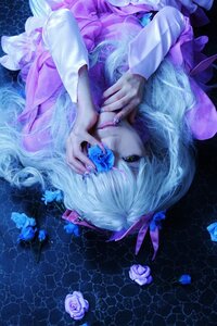 Rating: Safe Score: 0 Tags: 1girl barasuishou dress flower long_hair lying nail_polish purple_flower ribbon rose silver_hair solo User: admin