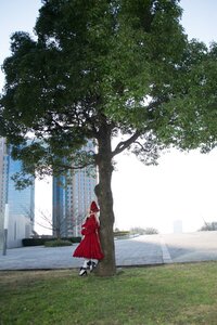 Rating: Safe Score: 0 Tags: 1girl day scenery shinku skirt solo tree User: admin