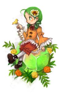 Rating: Safe Score: 0 Tags: 1girl bird dress flower full_body green_eyes green_hair hair_ornament image kanaria long_sleeves orange_dress orange_flower pantyhose red_rose rose shoes sitting solo striped white_legwear yellow_flower yellow_rose User: admin