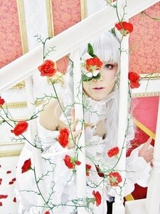 Rating: Safe Score: 0 Tags: 1girl camellia flower kirakishou lips long_hair petals plant red_flower red_rose rose rose_petals solo thorns traditional_media white_hair User: admin