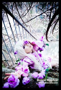 Rating: Safe Score: 0 Tags: 1girl barasuishou english_text flower hair_ornament letterboxed long_hair purple_eyes rose solo thorns white_hair User: admin