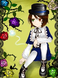 Rating: Safe Score: 0 Tags: 1girl blue_rose brown_hair flower frills green_eyes hat heterochromia image long_sleeves pantyhose pink_rose purple_flower purple_rose red_flower red_rose rose shoes short_hair sitting solo souseiseki thorns top_hat vines yellow_flower yellow_rose User: admin