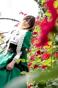 Rating: Safe Score: 0 Tags: 1girl blurry brown_eyes brown_hair depth_of_field dress flower lips long_sleeves short_hair solo suiseiseki User: admin