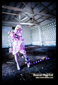 Rating: Safe Score: 0 Tags: 1girl barasuishou dress flower letterboxed long_hair solo standing water white_hair User: admin