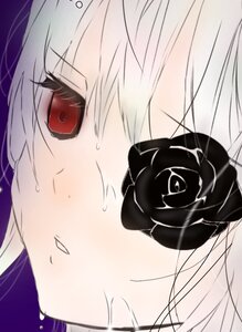 Rating: Safe Score: 0 Tags: 1girl barasuishou black_flower black_rose blue_rose blush face flower image looking_at_viewer red_eyes rose short_hair solo sweat User: admin