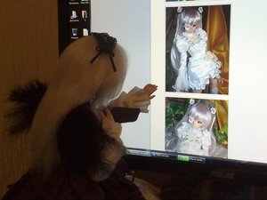 Rating: Safe Score: 0 Tags: 1girl animal_ears black_hair doll dress elbow_gloves eyebrows_visible_through_hair frills fur_collar gloves grey_hair long_sleeves multicolored_hair northern_white-faced_owl_(kemono_friends) photo solo standing suigintou tail white_hair yellow_eyes User: admin