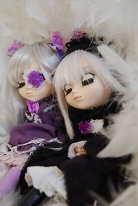 Rating: Safe Score: 0 Tags: 2girls doll dress eyepatch flower gothic_lolita lolita_fashion long_hair long_sleeves multiple_dolls multiple_girls purple_flower purple_rose rose tagme User: admin