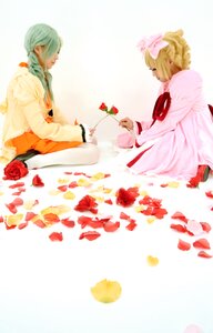 Rating: Safe Score: 0 Tags: 2girls blonde_hair closed_eyes flower hat multiple_cosplay multiple_girls petals red_flower red_rose rose rose_petals short_hair sitting striped tagme User: admin