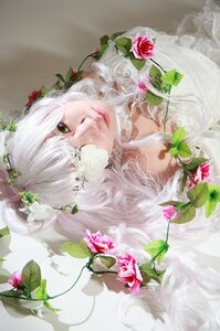 Rating: Safe Score: 0 Tags: 1girl bangs flower grey_eyes kirakishou leaf lips looking_at_viewer plant rose solo white_flower white_hair User: admin