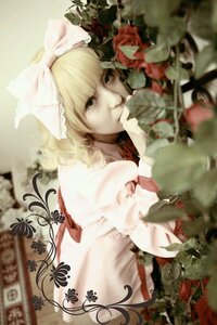 Rating: Safe Score: 0 Tags: 1girl blonde_hair blurry blurry_foreground bow bug butterfly choker depth_of_field dress flower hinaichigo insect looking_at_viewer photo ribbon rose short_hair solo User: admin