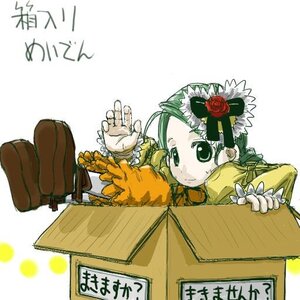 Rating: Safe Score: 0 Tags: 1girl blush box cardboard_box flower green_eyes green_hair image in_box in_container kanaria long_sleeves rose solo User: admin