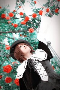 Rating: Safe Score: 0 Tags: 1girl blurry brown_hair capelet depth_of_field dress flower hair_over_one_eye hat lolita_fashion long_sleeves red_flower red_rose ribbon rose short_hair solo souseiseki User: admin