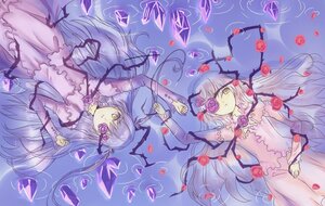 Rating: Safe Score: 0 Tags: 2girls barasuishou dress eyepatch flower image kirakishou long_hair multiple_girls pair petals pink_flower pink_rose purple_flower purple_rose red_flower red_rose ribbon rose rose_petals silver_hair thorns very_long_hair vines white_dress yellow_eyes User: admin